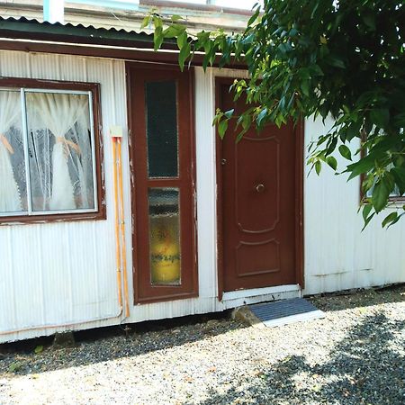 Cabana Independiente No Pareada Lugar Tranquilo Valdivia Eksteriør billede